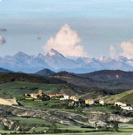 Descripción de la imagen